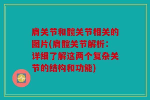 肩关节和髋关节相关的图片(肩髋关节解析：详细了解这两个复杂关节的结构和功能)