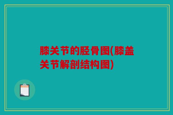 膝关节的胫骨图(膝盖关节解剖结构图) 膝关节的胫骨图(膝盖关节解剖结构图)