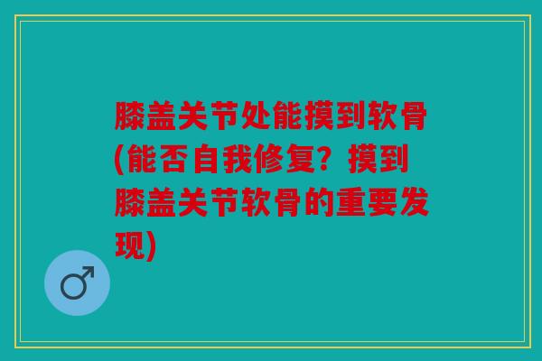 膝盖关节处能摸到软骨(能否自我修复?摸到膝盖关节软骨的重要发现) 膝盖关节处能摸到软骨(能否自我修复?摸到膝盖关节软骨的重要发现)