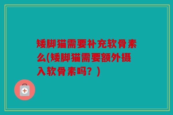 矮脚猫需要补充软骨素么(矮脚猫需要额外摄入软骨素吗?) 矮脚猫需要补充软骨素么(矮脚猫需要额外摄入软骨素吗?)