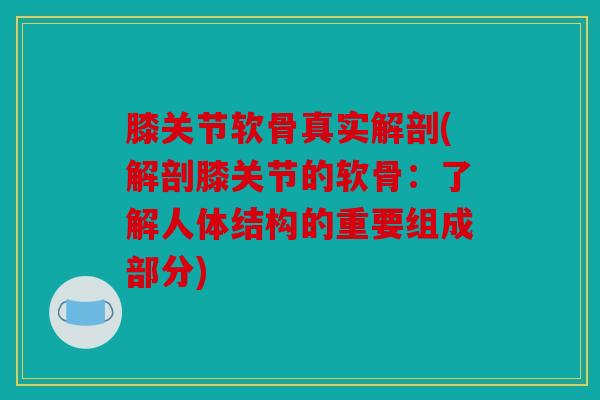 膝关节软骨真实解剖(解剖膝关节的软骨：了解人体结构的重要组成部分)