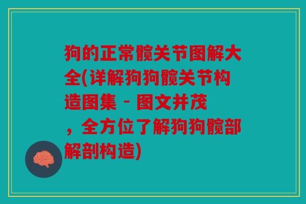 狗的正常髋关节图解大全(详解狗狗髋关节构造图集 - 图文并茂，全方位了解狗狗髋部解剖构造)