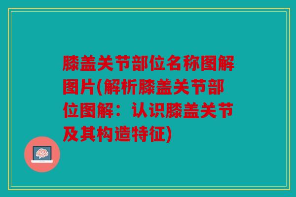 膝盖关节部位名称图解图片(解析膝盖关节部位图解:认识膝盖关节及其构造特征) 膝盖关节部位名称图解图片(解析膝盖关节部位图解:认识膝盖关节及其构造特征)