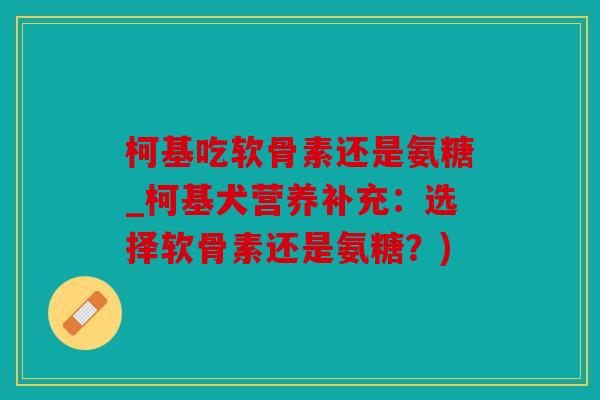 柯基吃软骨素还是氨糖_柯基犬营养补充:选择软骨素还是氨糖?) 柯基吃软骨素还是氨糖_柯基犬营养补充:选择软骨素还是氨糖?)