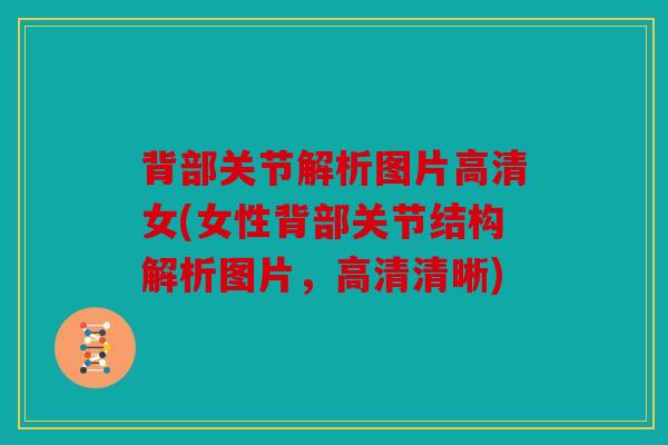背部关节解析图片高清女(女性背部关节结构解析图片,高清清晰) 背部关节解析图片高清女(女性背部关节结构解析图片,高清清晰)
