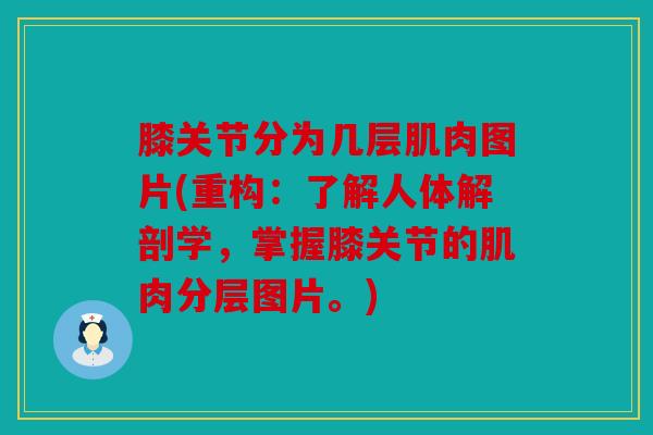膝关节分为几层肌肉图片(重构:了解人体解剖学,掌握膝关节的肌肉分层图片。) 膝关节分为几层肌肉图片(重构:了解人体解剖学,掌握膝关节的肌肉分层图片。)