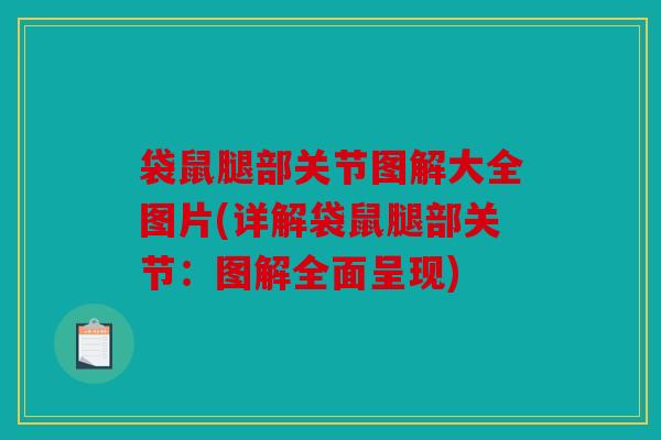 袋鼠腿部关节图解大全图片(详解袋鼠腿部关节:图解全面呈现) 袋鼠腿部关节图解大全图片(详解袋鼠腿部关节:图解全面呈现)