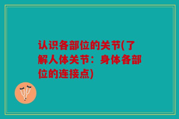 认识各部位的关节(了解人体关节:身体各部位的连接点) 认识各部位的关节(了解人体关节:身体各部位的连接点)