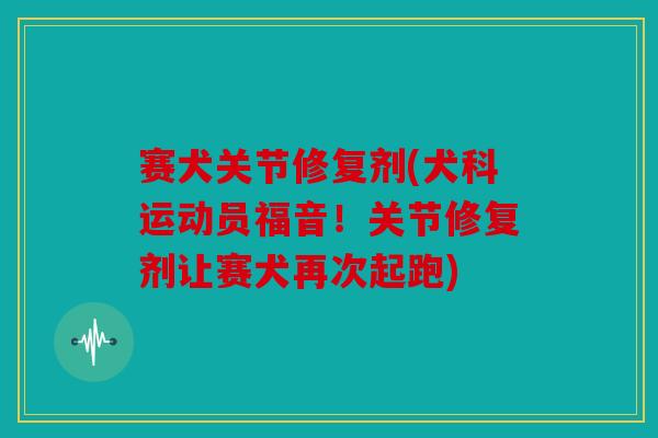 赛犬关节修复剂(犬科运动员福音!关节修复剂让赛犬再次起跑) 赛犬关节修复剂(犬科运动员福音!关节修复剂让赛犬再次起跑)