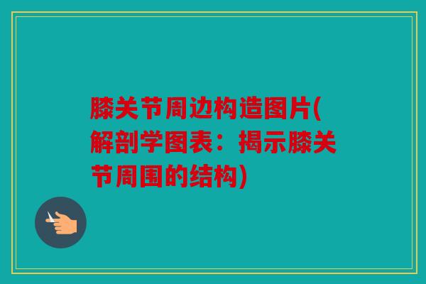膝关节周边构造图片(解剖学图表:揭示膝关节周围的结构) 膝关节周边构造图片(解剖学图表:揭示膝关节周围的结构)