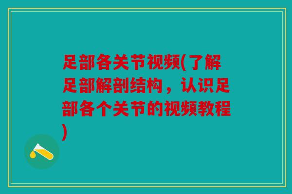 足部各关节视频(了解足部解剖结构,认识足部各个关节的视频教程) 足部各关节视频(了解足部解剖结构,认识足部各个关节的视频教程)
