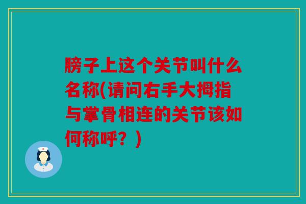 膀子上这个关节叫什么名称(请问右手大拇指与掌骨相连的关节该如何称呼？)