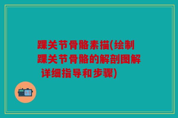 踝关节骨骼素描(绘制踝关节骨骼的解剖图解 详细指导和步骤)