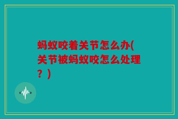 蚂蚁咬着关节怎么办(关节被蚂蚁咬怎么处理？)