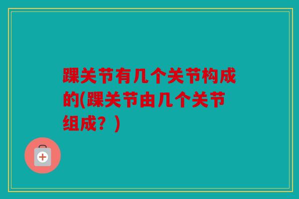 踝关节有几个关节构成的(踝关节由几个关节组成？)