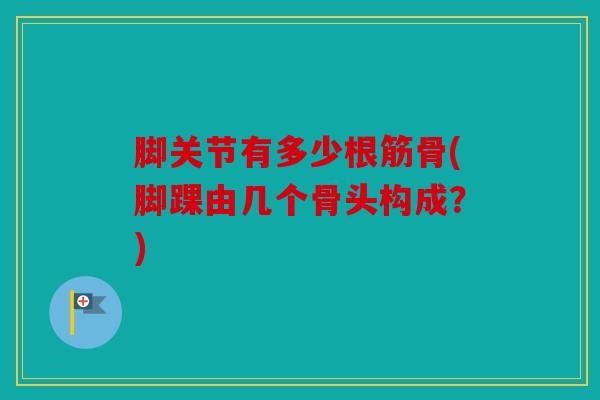 脚关节有多少根筋骨(脚踝由几个骨头构成？)