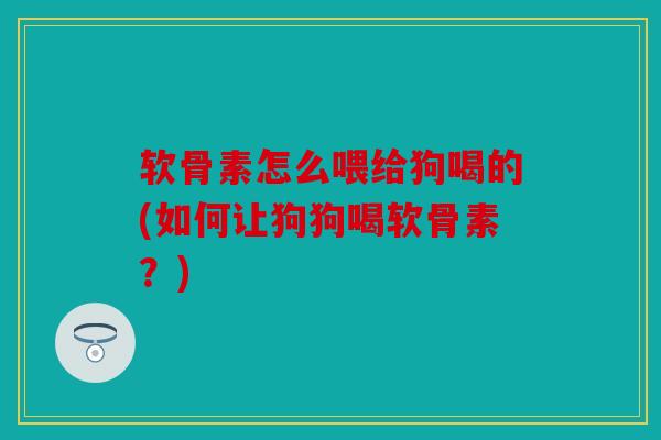软骨素怎么喂给狗喝的(如何让狗狗喝软骨素？)