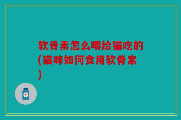 软骨素怎么喂给猫吃的(猫咪如何食用软骨素)