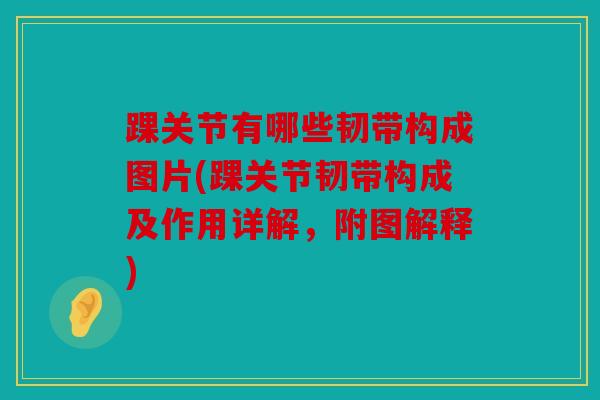踝关节有哪些韧带构成图片(踝关节韧带构成及作用详解，附图解释)