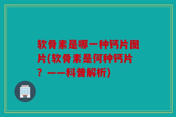 软骨素是哪一种钙片图片(软骨素是何种钙片？——科普解析)