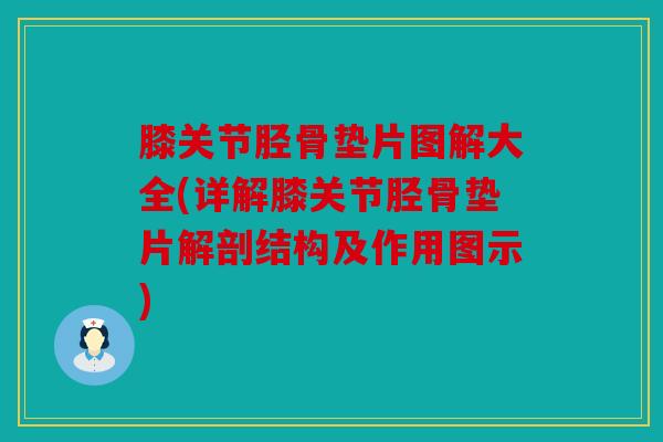 膝关节胫骨垫片图解大全(详解膝关节胫骨垫片解剖结构及作用图示) 膝关节胫骨垫片图解大全(详解膝关节胫骨垫片解剖结构及作用图示)