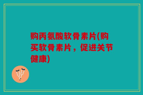 购丙氨酸软骨素片(购买软骨素片,促进关节健康) 购丙氨酸软骨素片(购买软骨素片,促进关节健康)