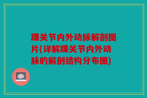 踝关节内外动脉解剖图片(详解踝关节内外动脉的解剖结构分布图) 踝关节内外动脉解剖图片(详解踝关节内外动脉的解剖结构分布图)