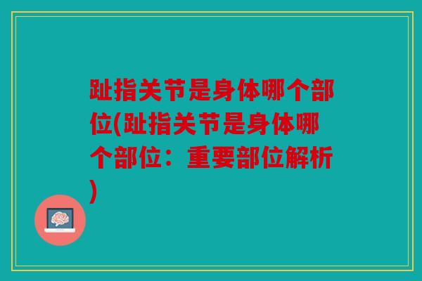 趾指关节是身体哪个部位(趾指关节是身体哪个部位:重要部位解析) 趾指关节是身体哪个部位(趾指关节是身体哪个部位:重要部位解析)