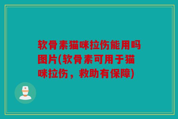 软骨素猫咪拉伤能用吗图片(软骨素可用于猫咪拉伤,救助有保障) 软骨素猫咪拉伤能用吗图片(软骨素可用于猫咪拉伤,救助有保障)