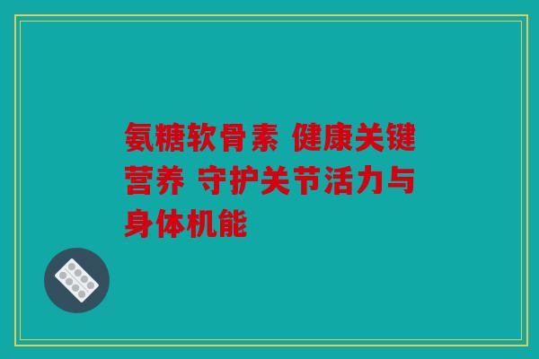 氨糖软骨素 健康关键营养 守护关节活力与身体机能 氨糖软骨素 健康关键营养 守护关节活力与身体机能