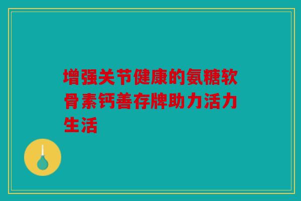 增强关节健康的氨糖软骨素钙善存牌助力活力生活