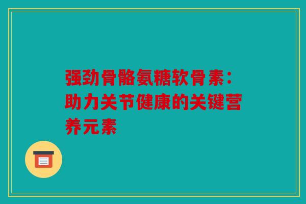 强劲骨骼氨糖软骨素：助力关节健康的关键营养元素