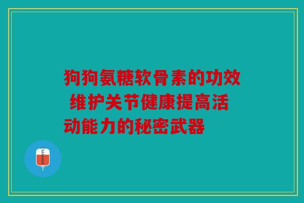 狗狗氨糖软骨素的功效 维护关节健康提高活动能力的秘密武器