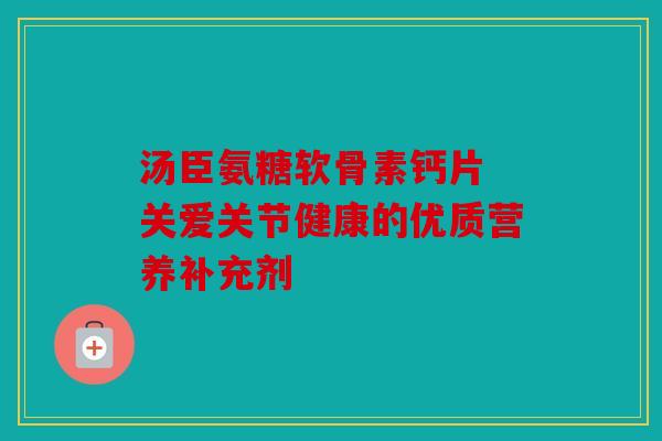 汤臣氨糖软骨素钙片 关爱关节健康的优质营养补充剂