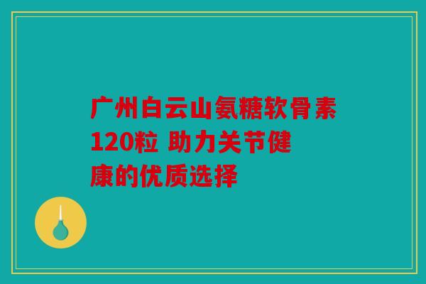 广州白云山氨糖软骨素120粒 助力关节健康的优质选择 广州白云山氨糖软骨素120粒 助力关节健康的优质选择