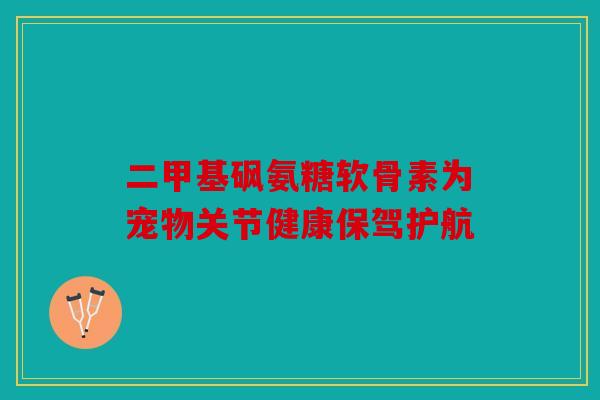 二甲基砜氨糖软骨素为宠物关节健康保驾护航