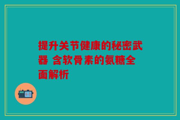提升关节健康的秘密武器 含软骨素的氨糖全面解析 提升关节健康的秘密武器 含软骨素的氨糖全面解析