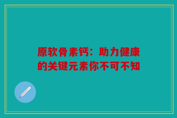 原软骨素钙：助力健康的关键元素你不可不知