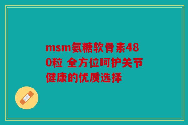 msm氨糖软骨素480粒 全方位呵护关节健康的优质选择