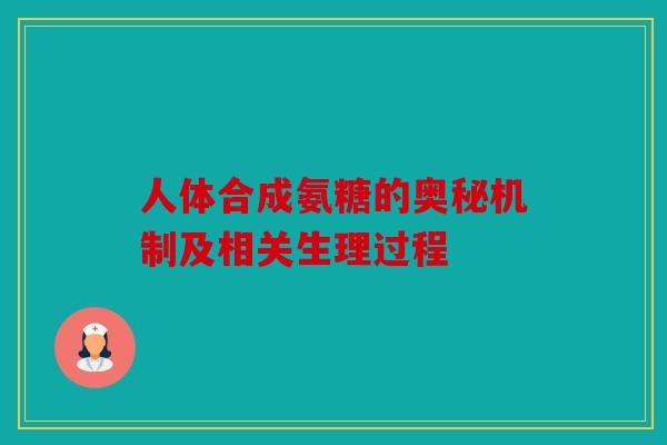 人体合成氨糖的奥秘机制及相关生理过程