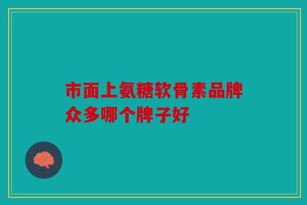 市面上氨糖软骨素品牌众多哪个牌子好