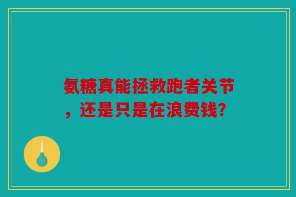 氨糖真能拯救跑者关节,还是只是在浪费钱? 氨糖真能拯救跑者关节,还是只是在浪费钱?