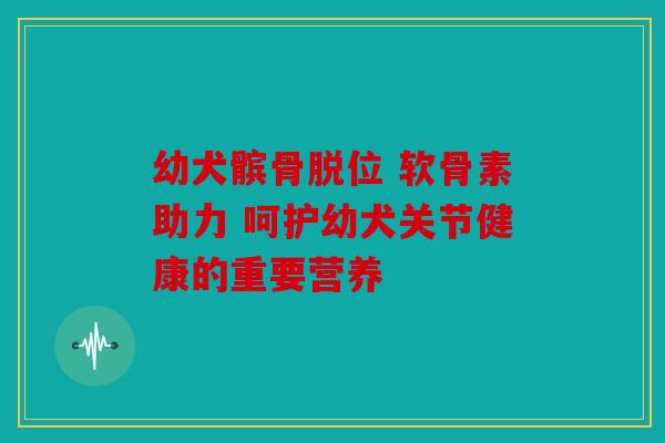 幼犬髌骨脱位 软骨素助力 呵护幼犬关节健康的重要营养 幼犬髌骨脱位 软骨素助力 呵护幼犬关节健康的重要营养