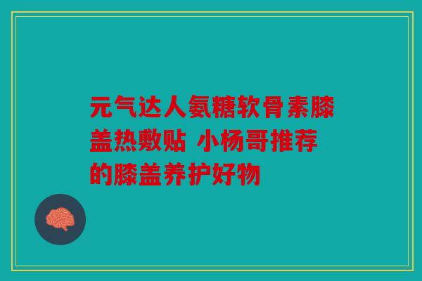 元气达人氨糖软骨素膝盖热敷贴 小杨哥推荐的膝盖养护好物 元气达人氨糖软骨素膝盖热敷贴 小杨哥推荐的膝盖养护好物