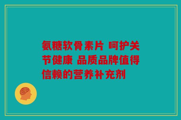 氨糖软骨素片 呵护关节健康 品质品牌值得信赖的营养补充剂