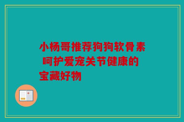 小杨哥推荐狗狗软骨素 呵护爱宠关节健康的宝藏好物