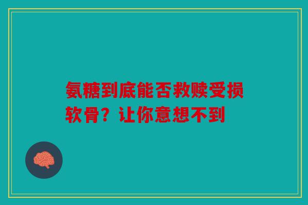 氨糖到底能否救赎受损软骨？让你意想不到