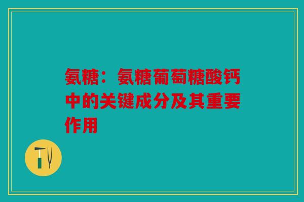 氨糖：氨糖葡萄糖酸钙中的关键成分及其重要作用