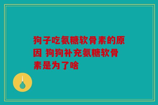 狗子吃氨糖软骨素的原因 狗狗补充氨糖软骨素是为了啥