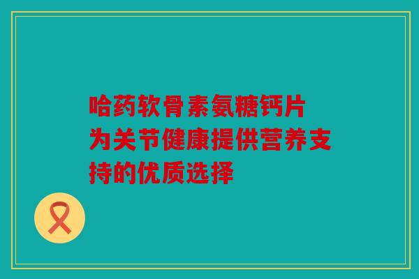 哈药软骨素氨糖钙片 为关节健康提供营养支持的优质选择